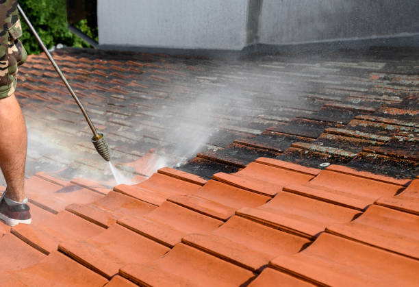 Professional Pressure Washing in Forsgate, NJ